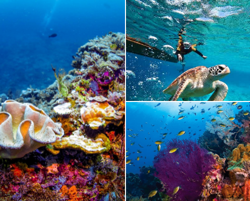 Best Places to Visit in Indonesia cover photo collage