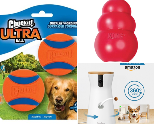 15 Bestselling Dog Products (2026) cover photo collage