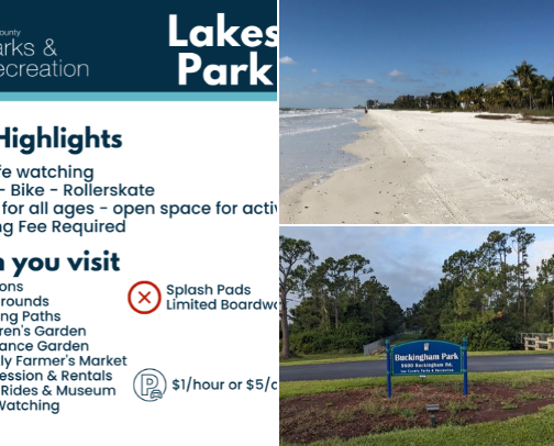 My new list cover photo collage