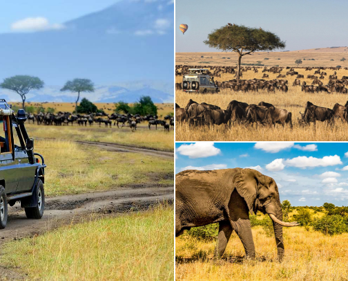 Best Travel Experiences in Africa cover photo collage