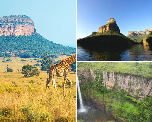Amazing Must visit places in Mpumalanga , South Africa cover photo collage
