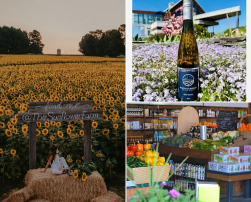 🌻 Feel-Good Local Escapes: Markets, Farms & Flower Fields in Windsor-Essex Ontario cover photo collage