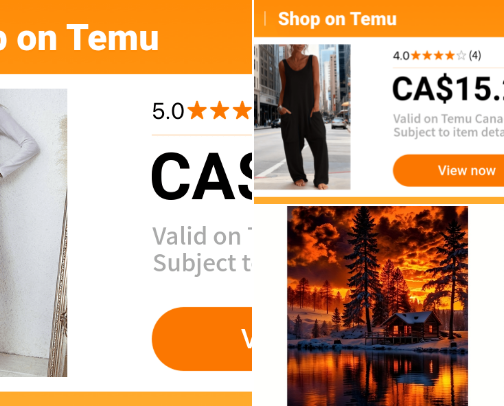 Things I've ordered from Temu! cover photo collage