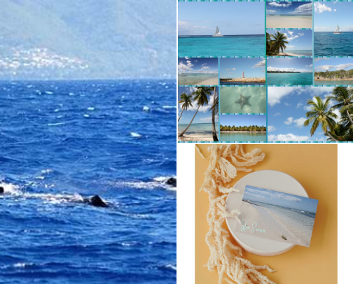 Caribbean Cruise Souvenirs cover photo collage