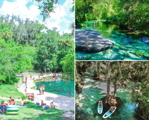 Wekiwa Springs & Rock Springs Day Trip Guide: Orlando's Best Natural Springs, Tubing & Kayaking cover photo collage
