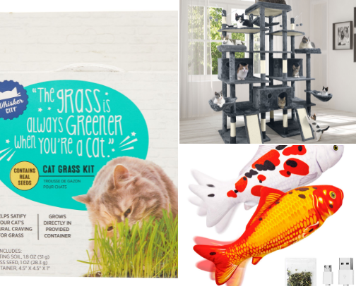 Cat essentials I actually recommend 🐈‍⬛ cover photo collage