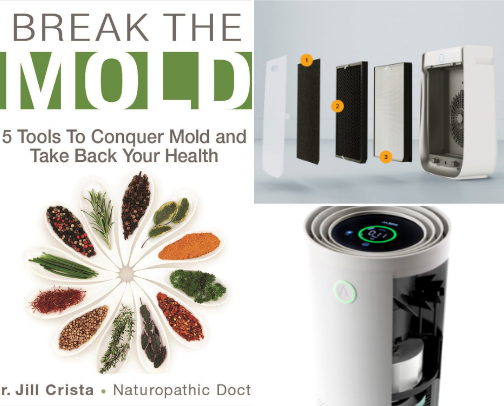 Healing from Mold Toxicity cover photo collage
