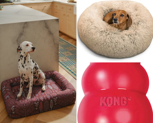 Pets: Dominion Edition cover photo collage