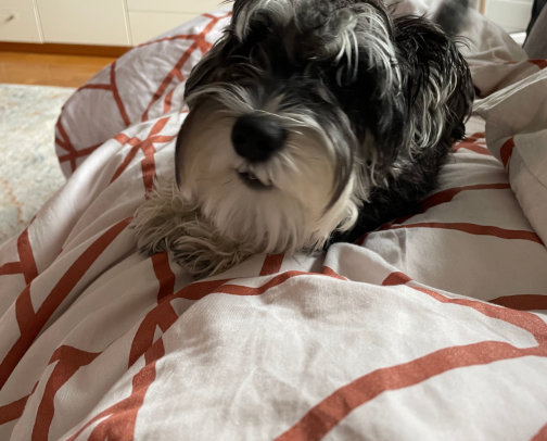 Content creation cover photo collage