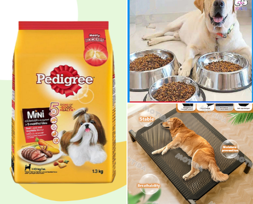 FUR-baby NEEDS🐕🐈‍⬛ cover photo collage