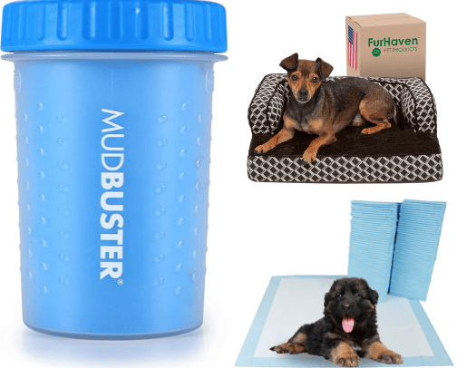 Everything for your dog 🐶 cover photo collage
