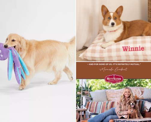 Cute dog recommendations cover photo collage