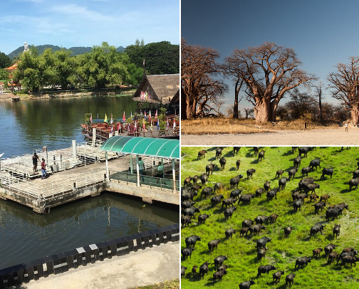 Tourism Botswana cover photo collage