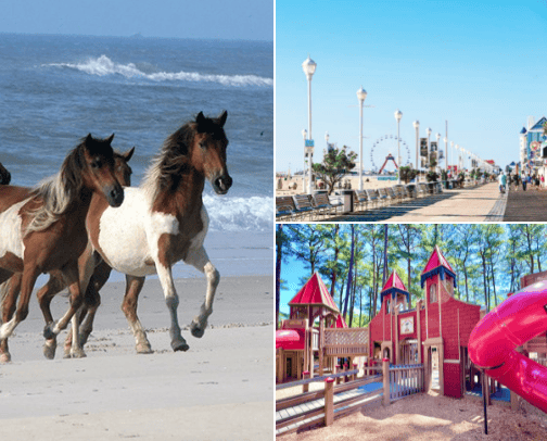 Things to do on the Eastern Shore of MD/DE/VA cover photo collage