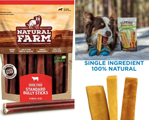 National Dog Day cover photo collage