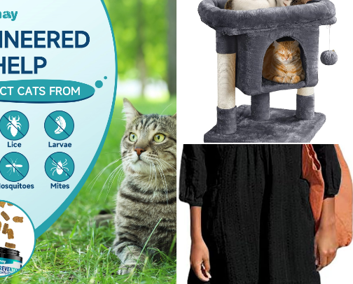 Cat recommendations cover photo collage