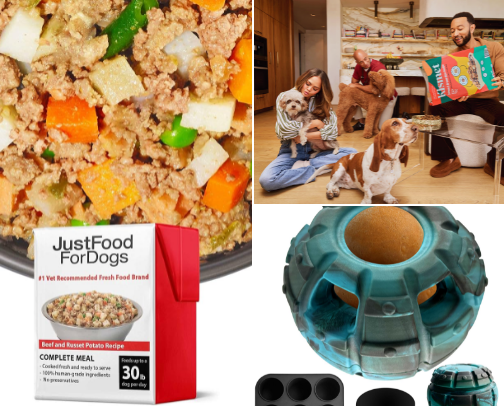 Odie Approved 🐾 cover photo collage