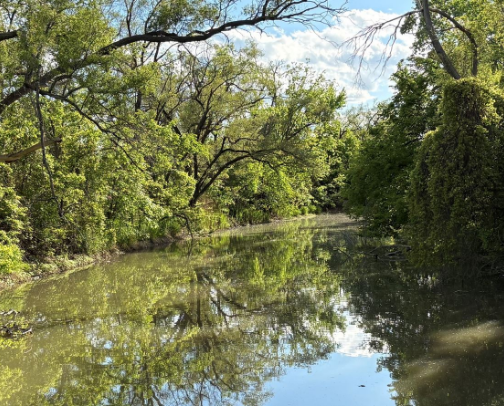 My top Massillon recs cover photo collage