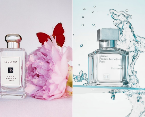 Scents That Turn Heads cover photo collage