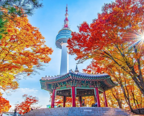 Your Travel Guide to Seoul, South Korea cover photo collage