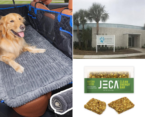 Spring Break Road Trip with the Doggo cover photo collage