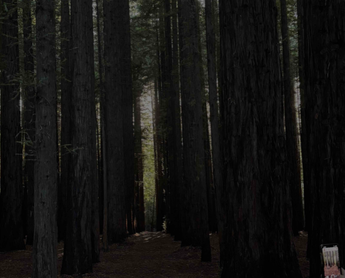 PLACES TO GO cover photo collage