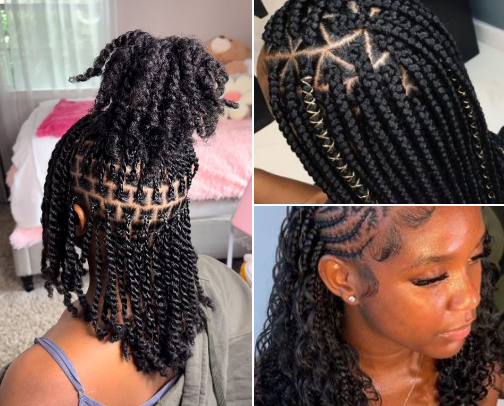 Hair braids all styles for women cover photo collage