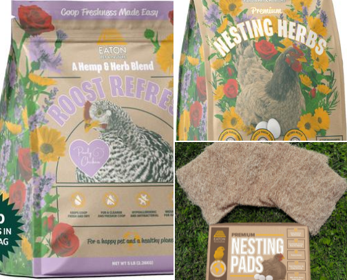 Chicken Coop Essentials cover photo collage
