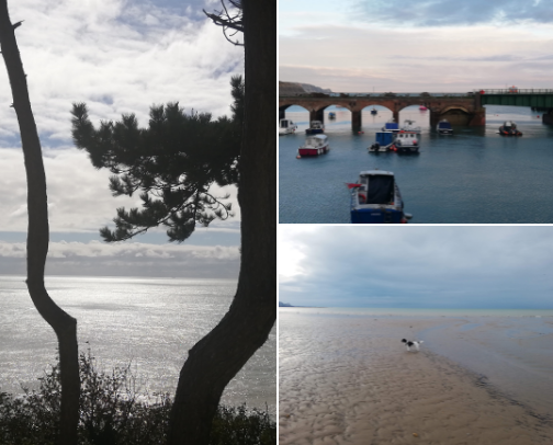 My Favourite Walks & Peaceful Coastal Places in  Folkestone cover photo collage