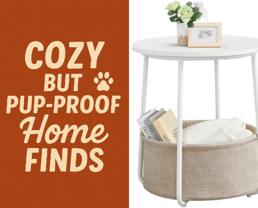 🛋️ Cozy but Pup-Proof Home Finds cover photo collage