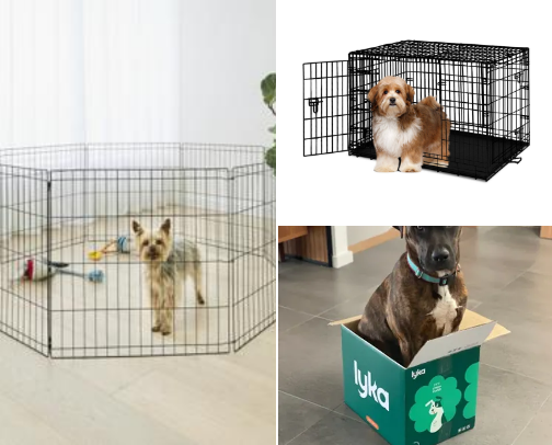 Puppy ESSENTIALS for the first few months<3 cover photo collage