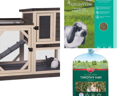 Owning a rabbit cover photo collage