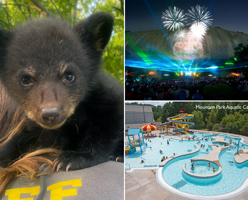 Magical Moments in Stone Mountain…Vacation Like a Pro! cover photo collage