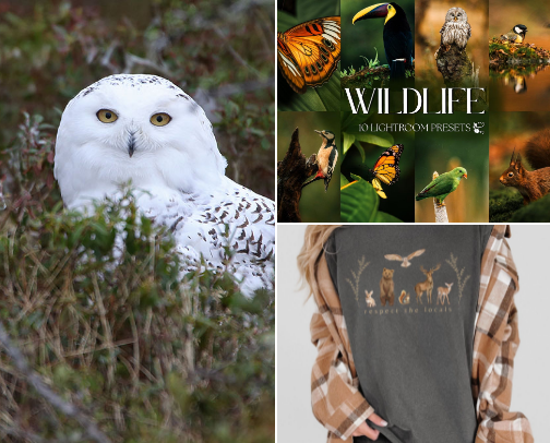 For the Wild at Heart - Gifts cover photo collage