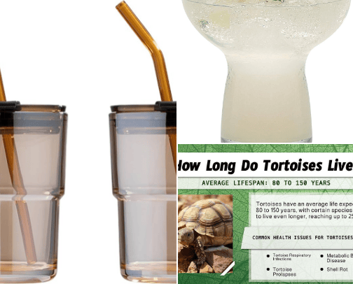 drinkware & more cover photo collage