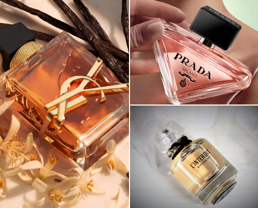 fragrances that turn heads cover photo collage