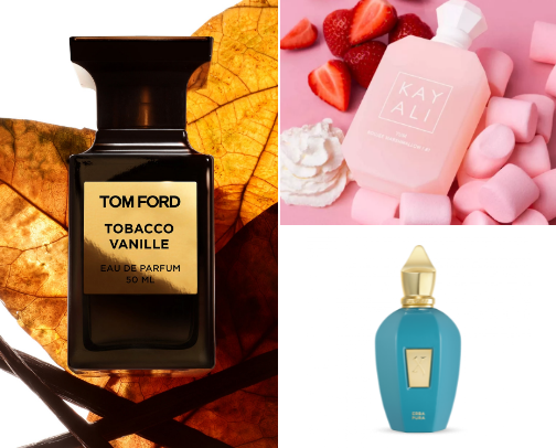 Long lasting perfumes cover photo collage