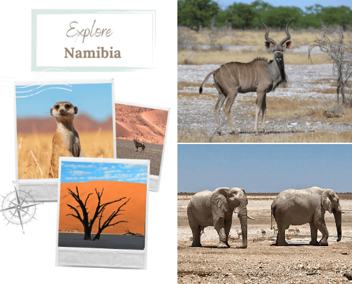 Namibia!!!! Most underrated Country cover photo collage