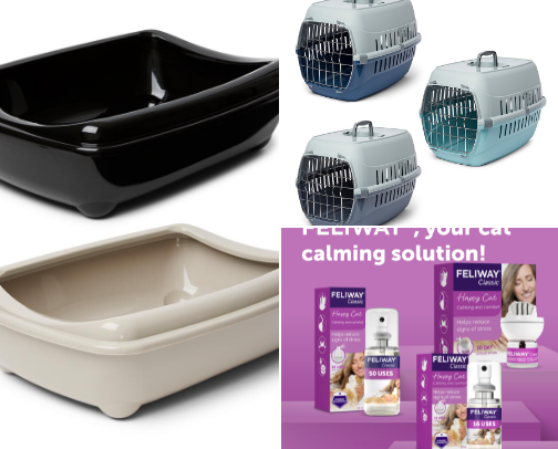 New Kitten Must Haves!! cover photo collage