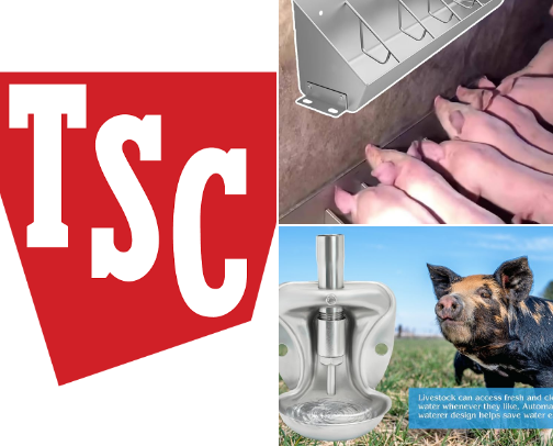 Pig care cover photo collage