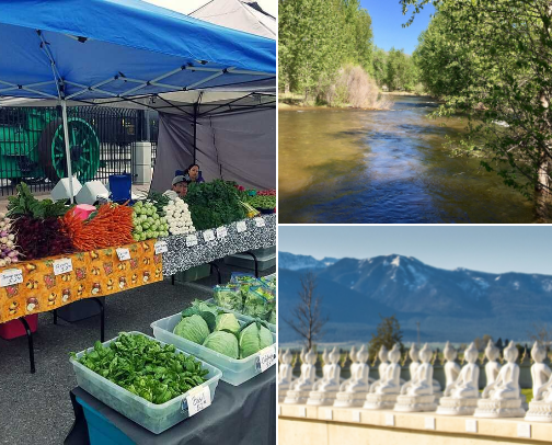 Things to do in Missoula Montana! cover photo collage