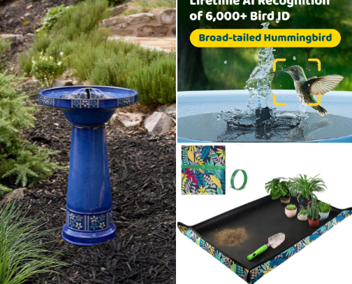House Plant, Gardening, Flower accessories and supplies. cover photo collage