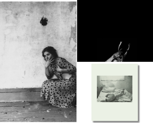 photographers i adore cover photo collage