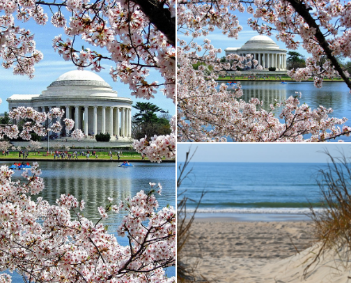 Travel Destinations cover photo collage