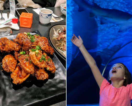 My top West Bloomfield recs cover photo collage