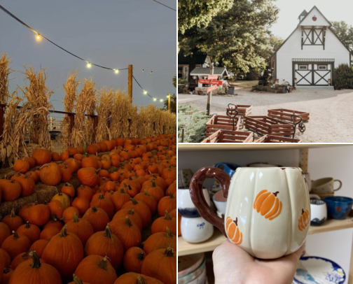Fall Activities cover photo collage