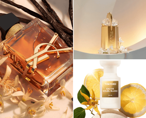 Women's perfumes cover photo collage