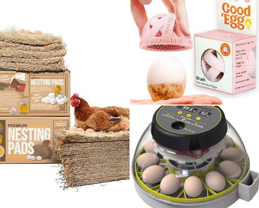 Backyard Chicken Must Haves! cover photo collage