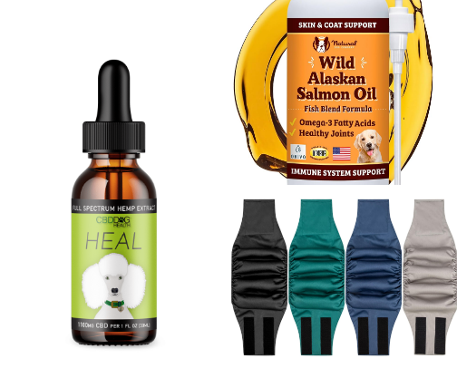 Golden Years Essentials for Senior Dogs cover photo collage