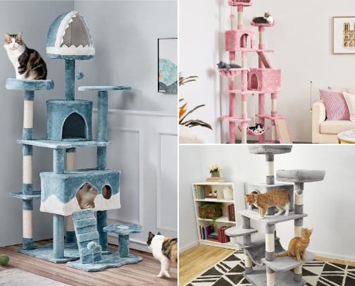 SPOILED CATS LIST cover photo collage